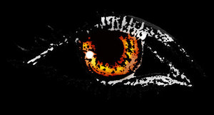 oeil oeil